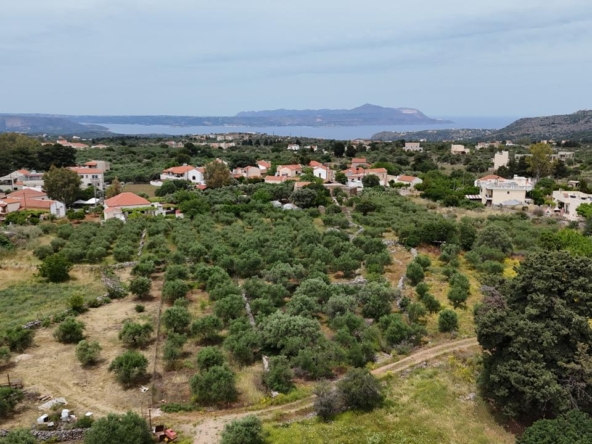 Land for sale in Litsarda Apokoronas Chania Crete