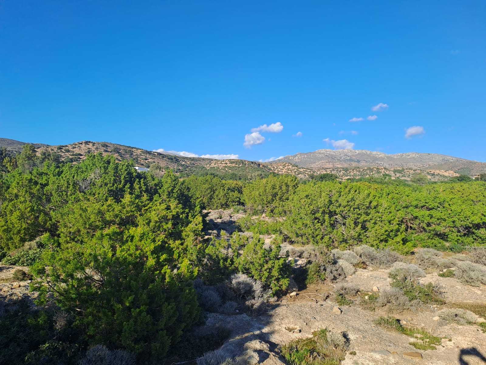 Beachfront plot for sale in Chania Crete