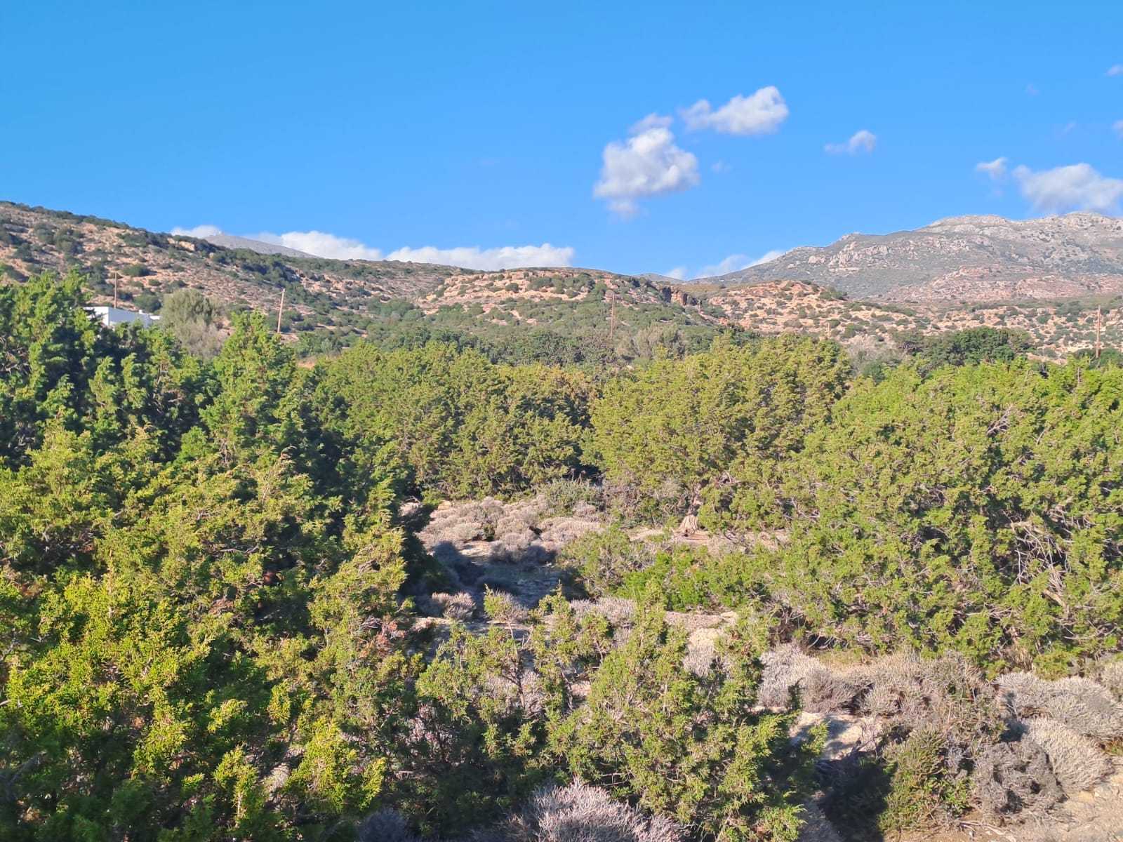 Beachfront plot for sale in Chania Crete