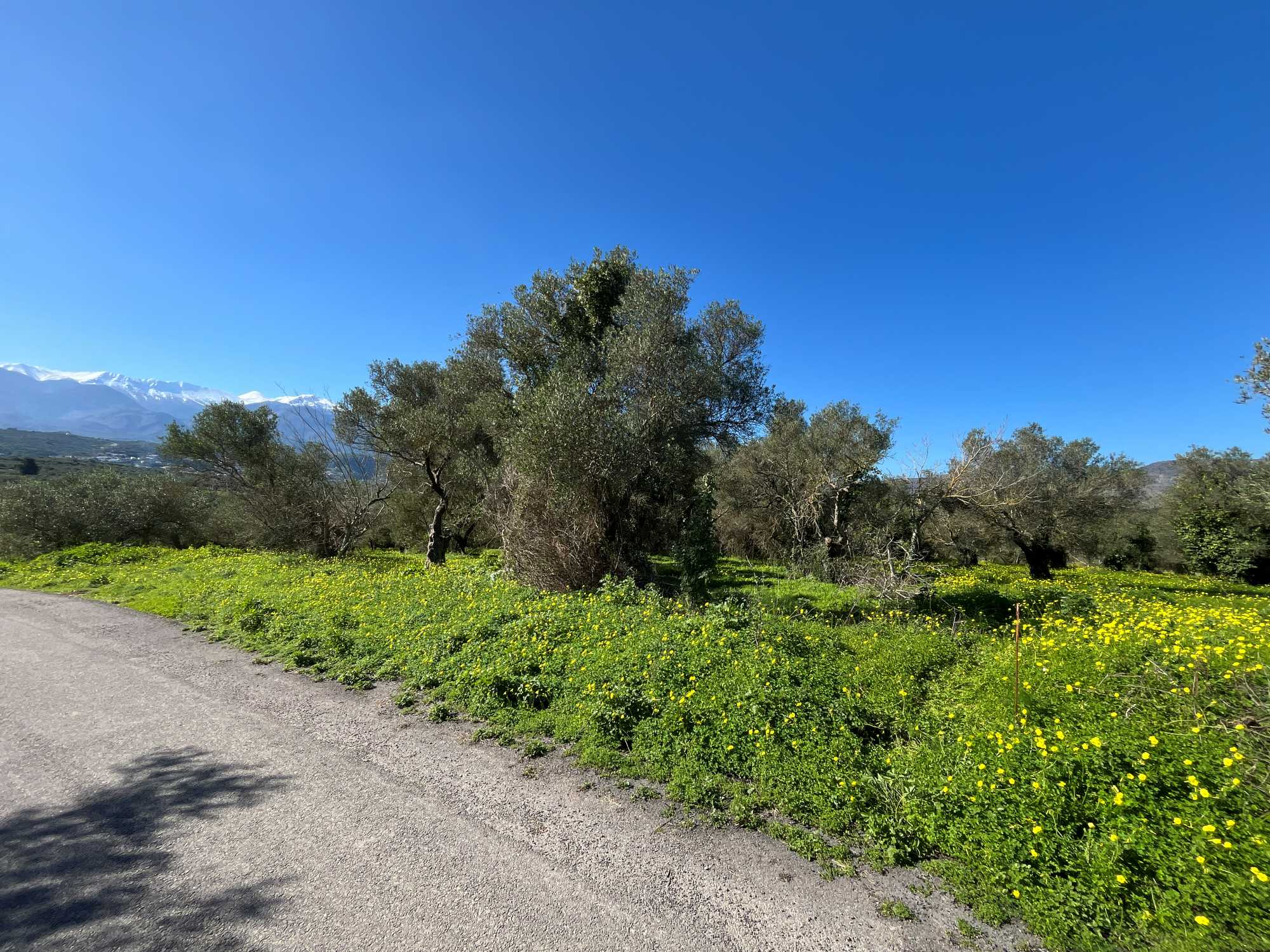 Plot in Armeni Apokoronas Chania Crete for sale