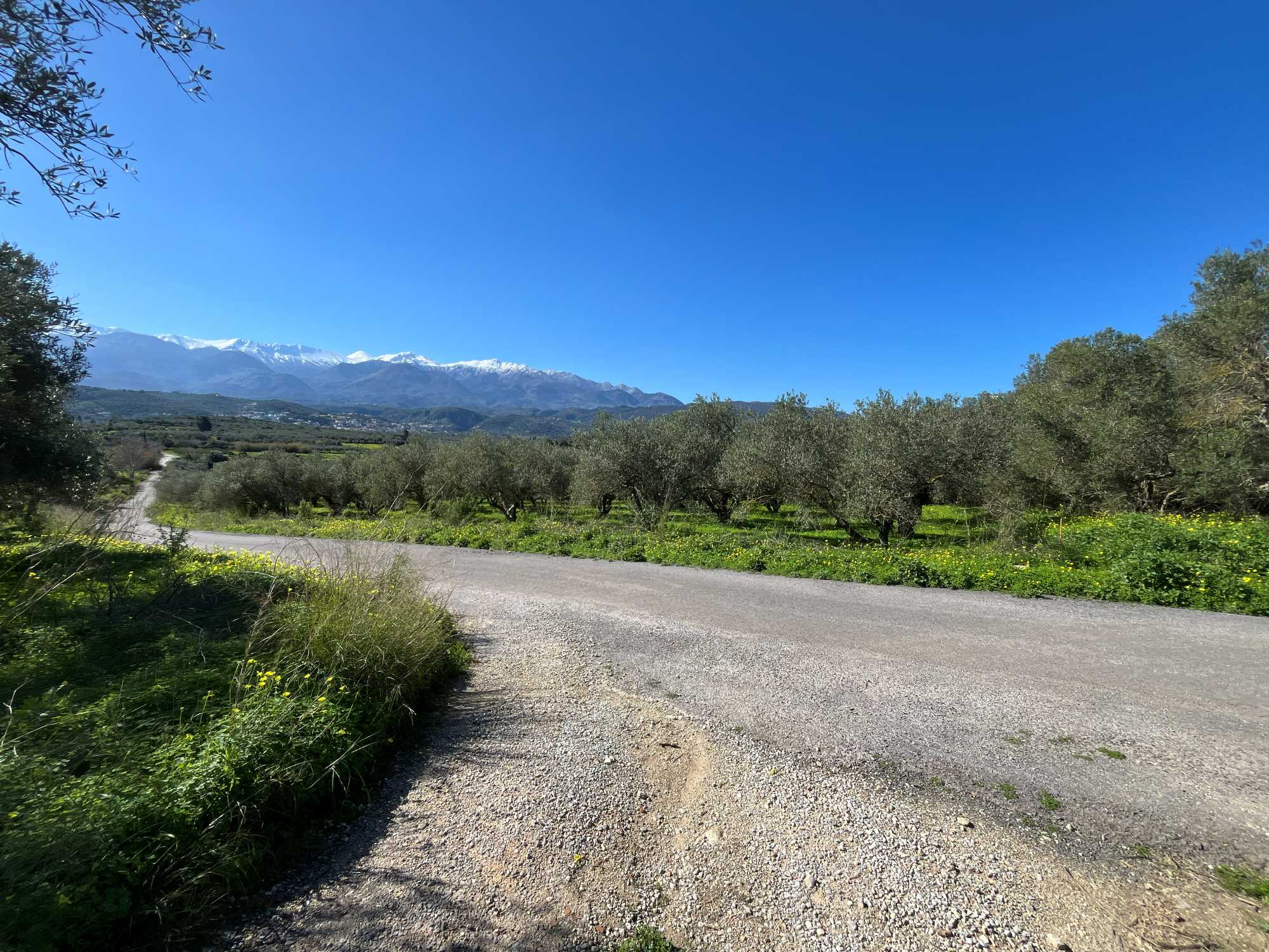 Plot in Armeni Apokoronas Chania Crete for sale