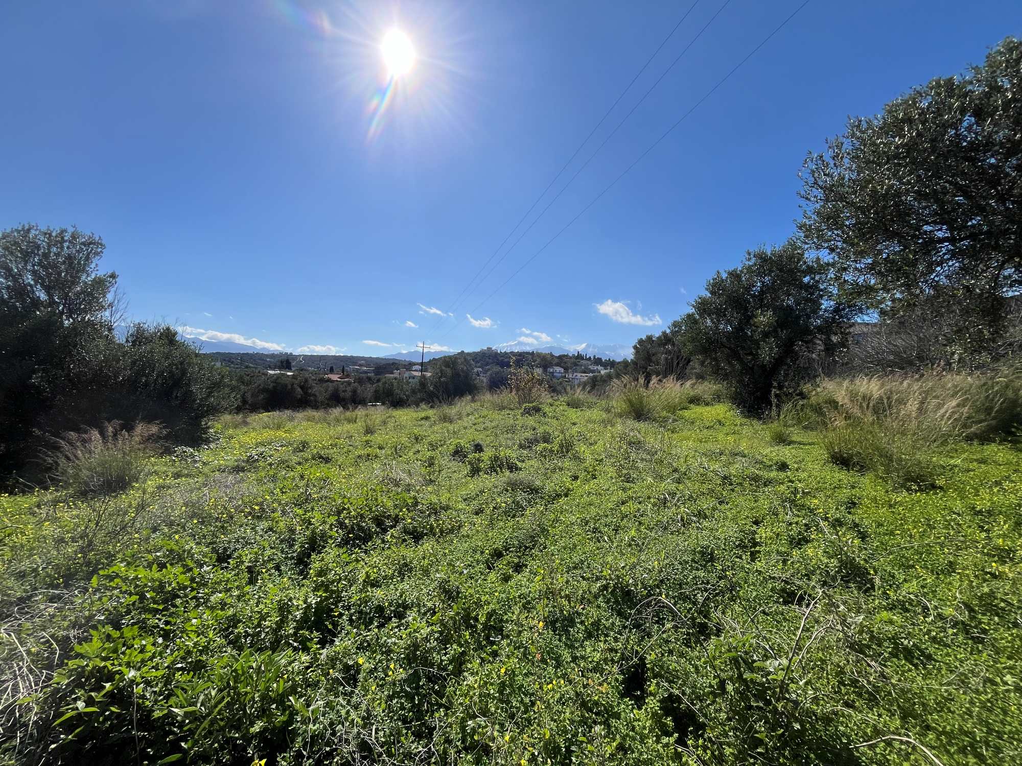 Plot-of-land-in-Apokoronas-Chania-Crete-for-sale (1) Plot of land in Apokoronas Chania Crete for sale