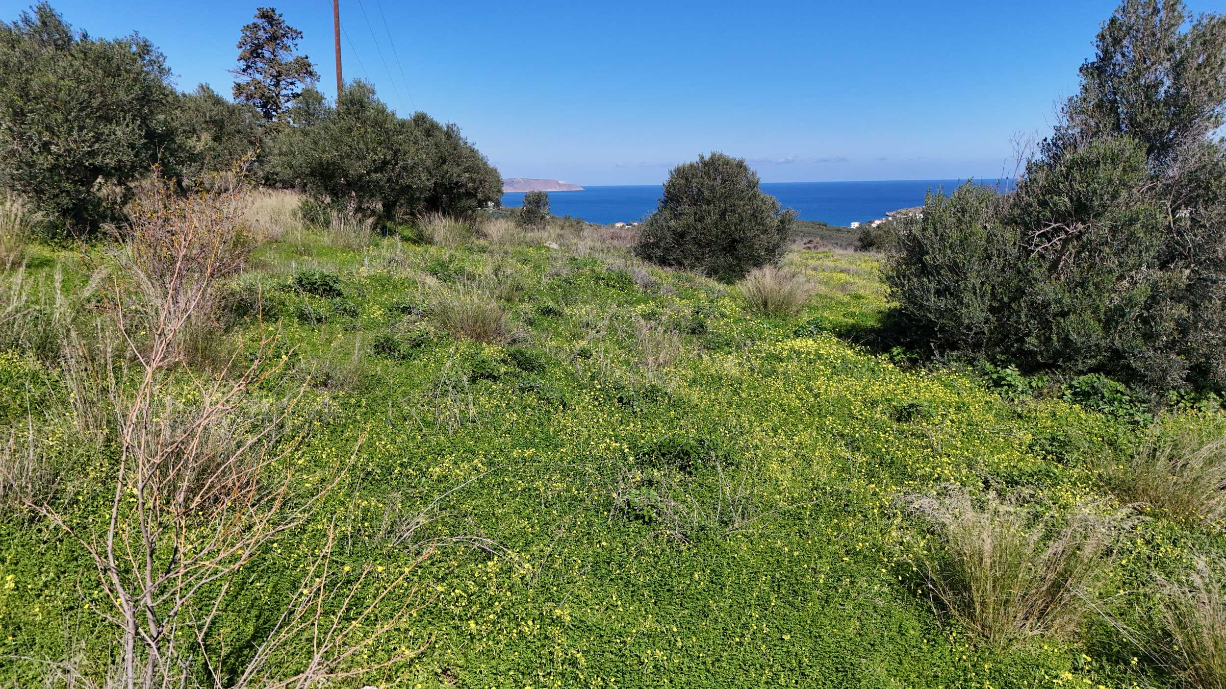 Plot-of-land-in-Apokoronas-Chania-Crete-for-sale (10) Plot of land in Apokoronas Chania Crete for sale