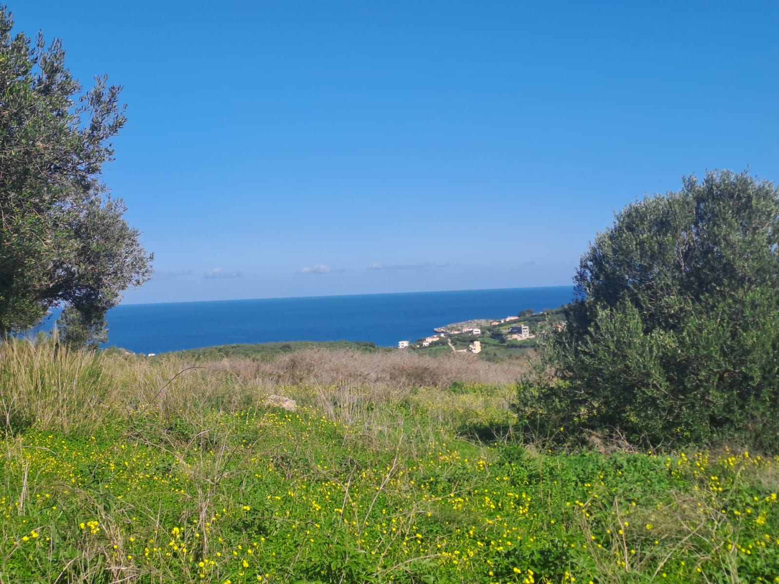 Plot of land in Apokoronas Chania Crete for sale Plot of land in Apokoronas Chania Crete for sale