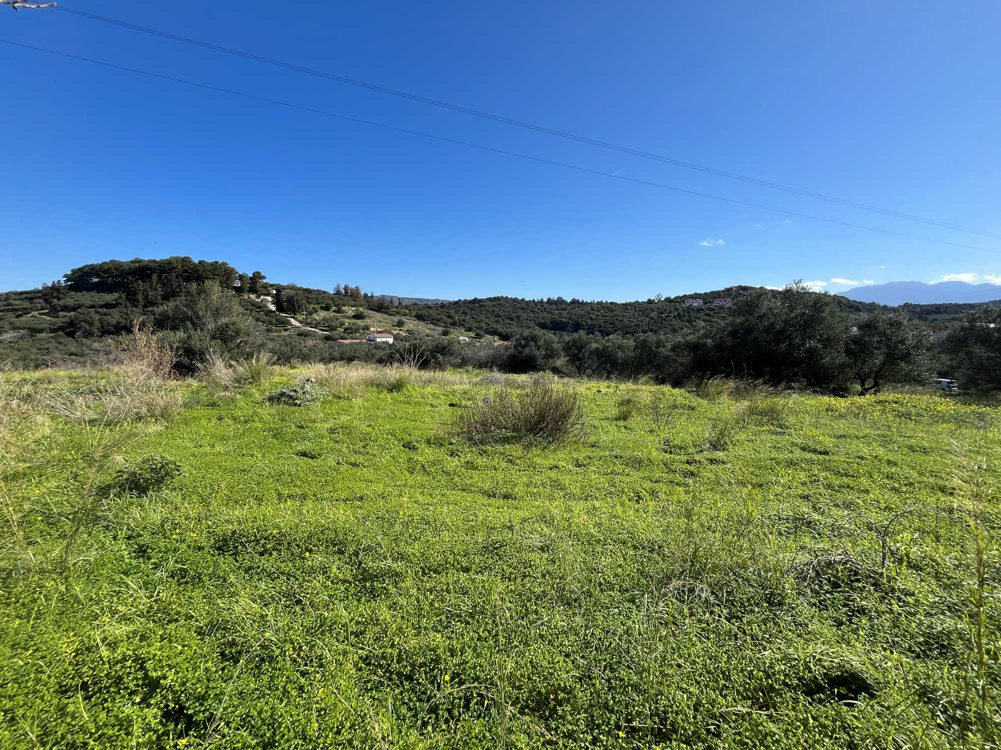 Plot of land in Apokoronas Chania Crete for sale Plot of land in Apokoronas Chania Crete for sale