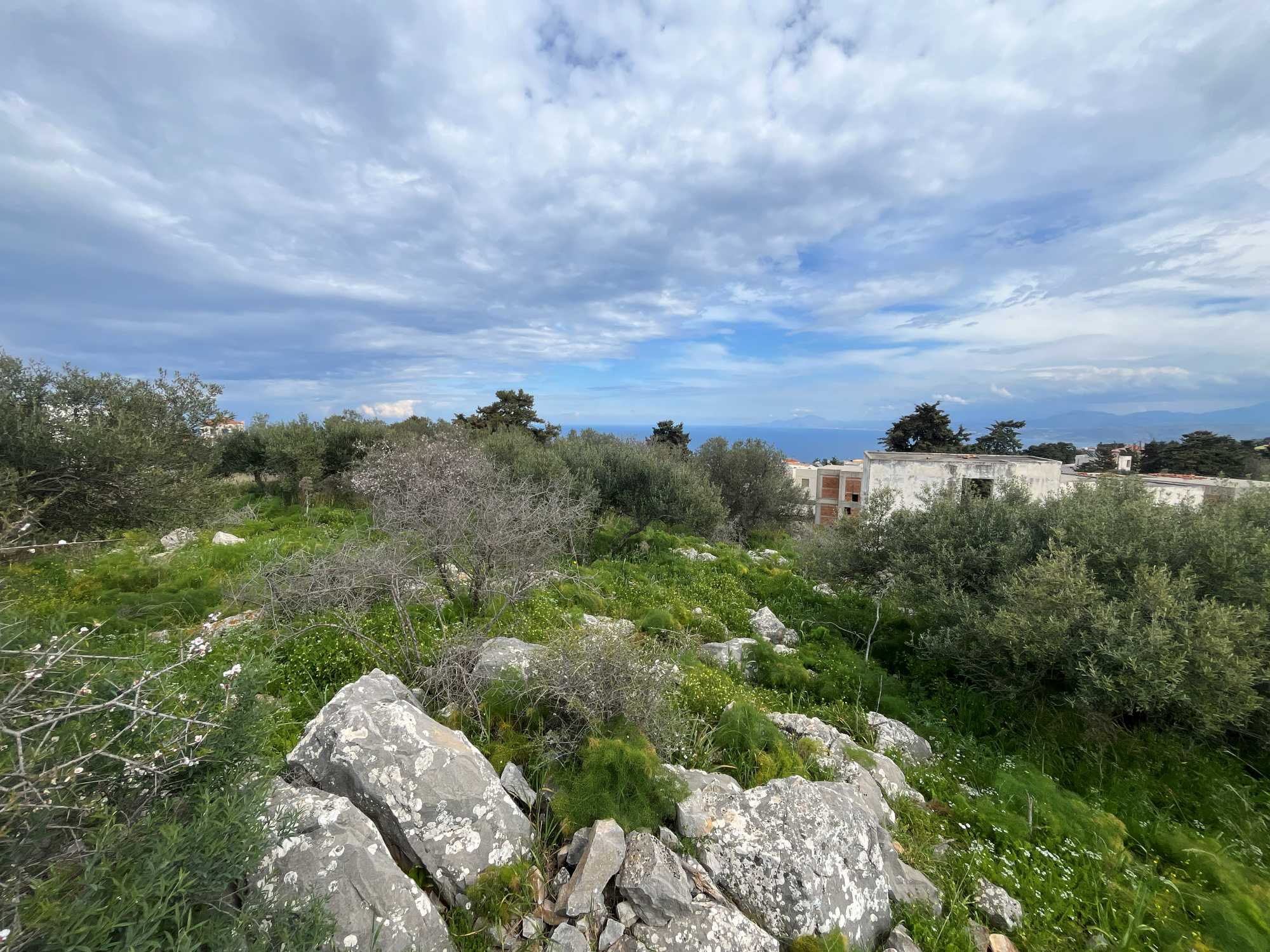 Land for sale in Apokoronas Chania Crete