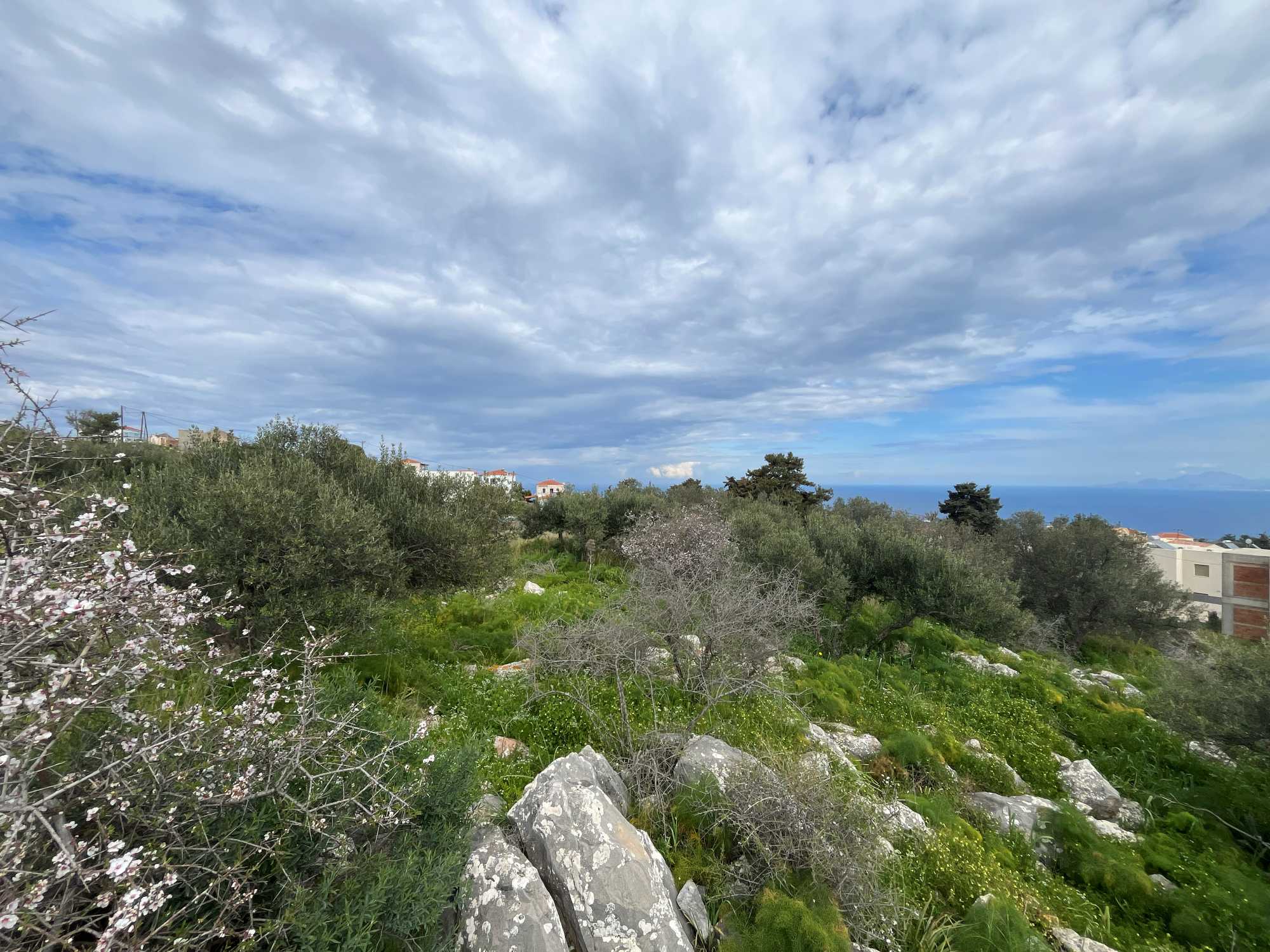 Land for sale in Apokoronas Chania Crete