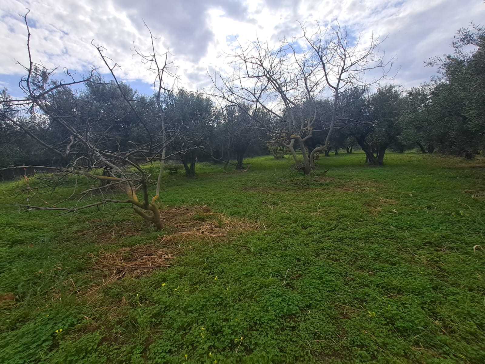 off plan stone villa in Chania Crete for sale with private pool and garden