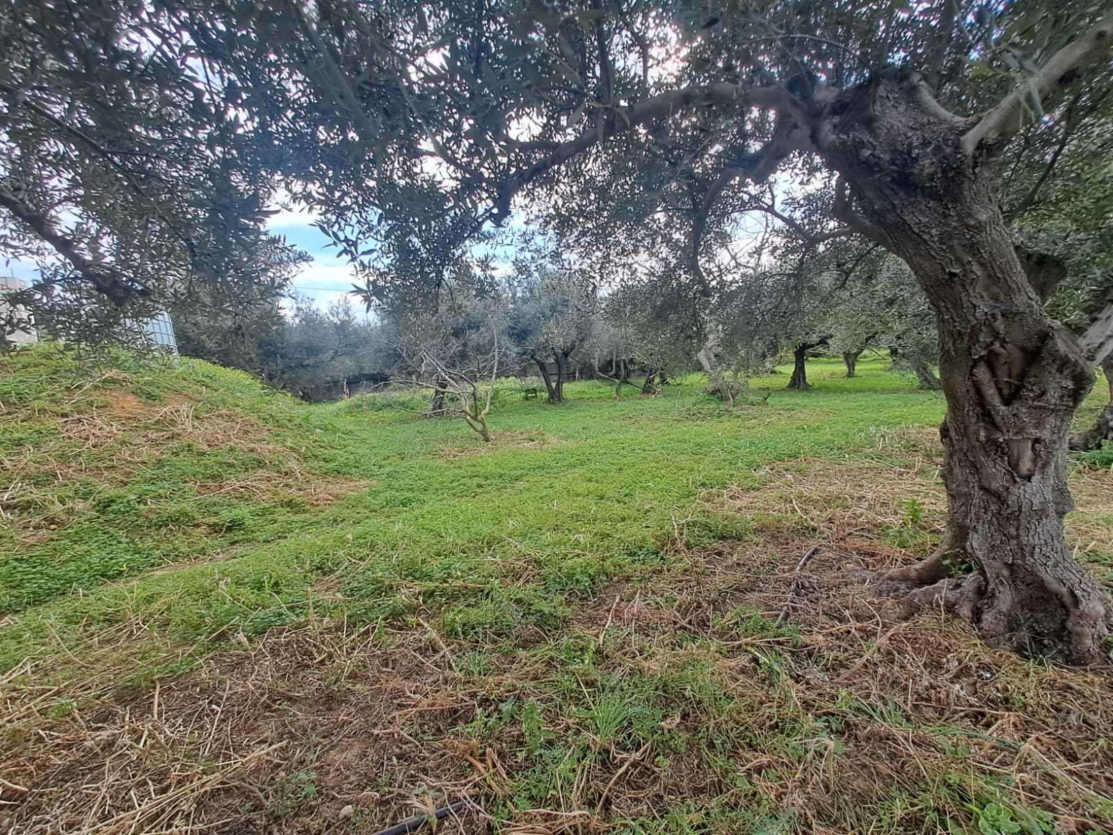 off plan stone villa in Chania Crete for sale with private pool and garden