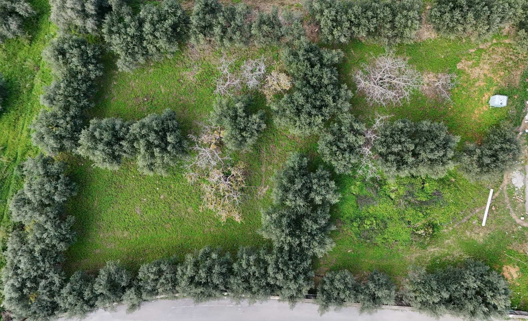 off plan stone villa in Chania Crete for sale with private pool and garden