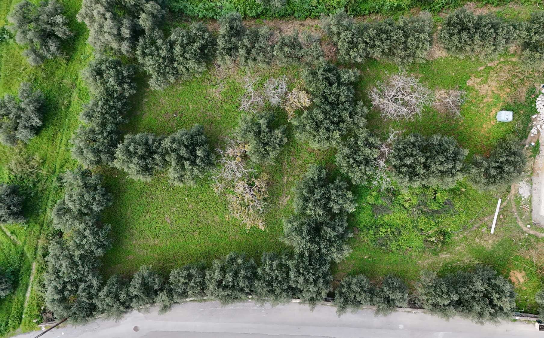 off plan stone villa in Chania Crete for sale with private pool and garden