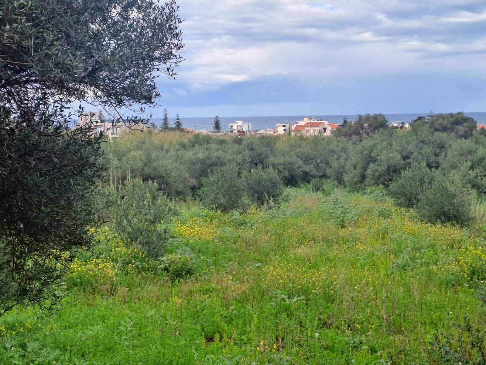 off plan stone villa in Chania Crete for sale with private pool and garden