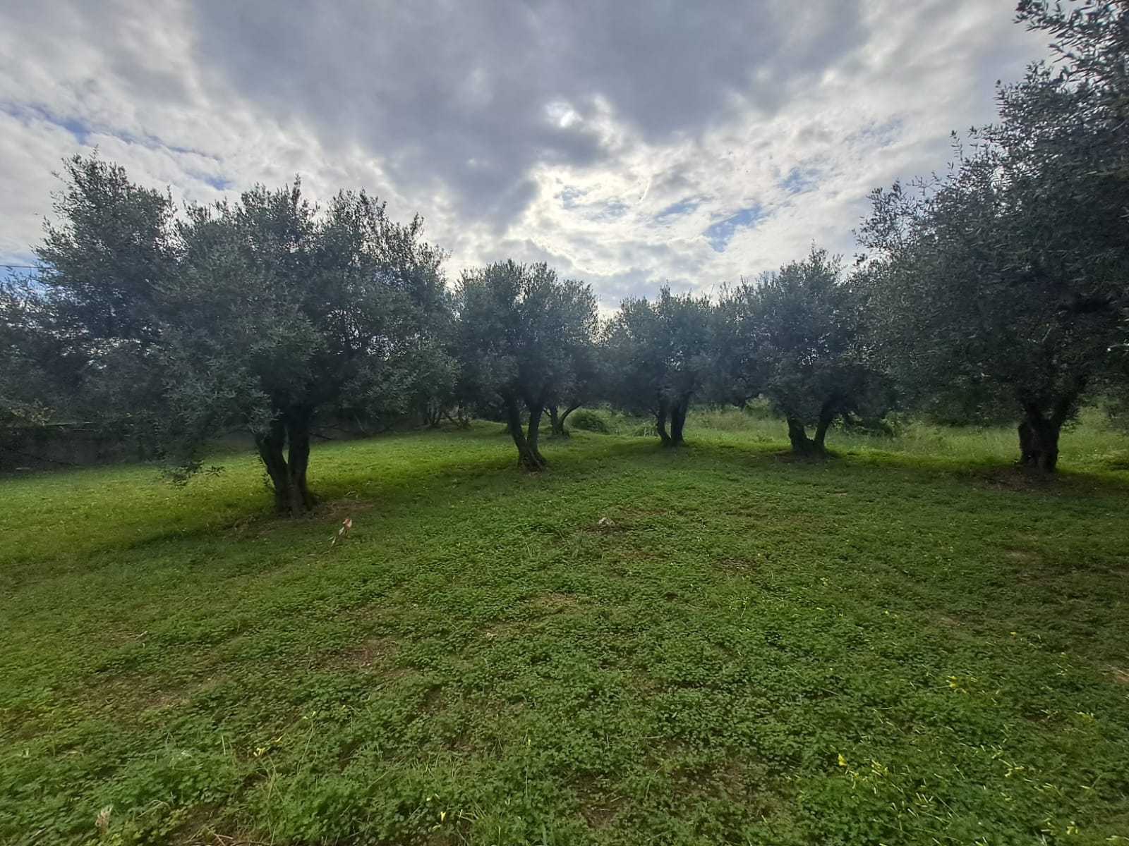 off plan stone villa in Chania Crete for sale with private pool and garden