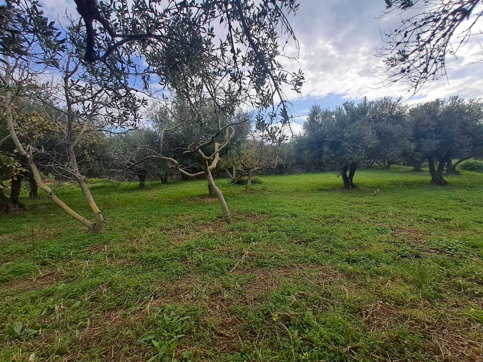 off plan stone villa in Chania Crete for sale with private pool and garden