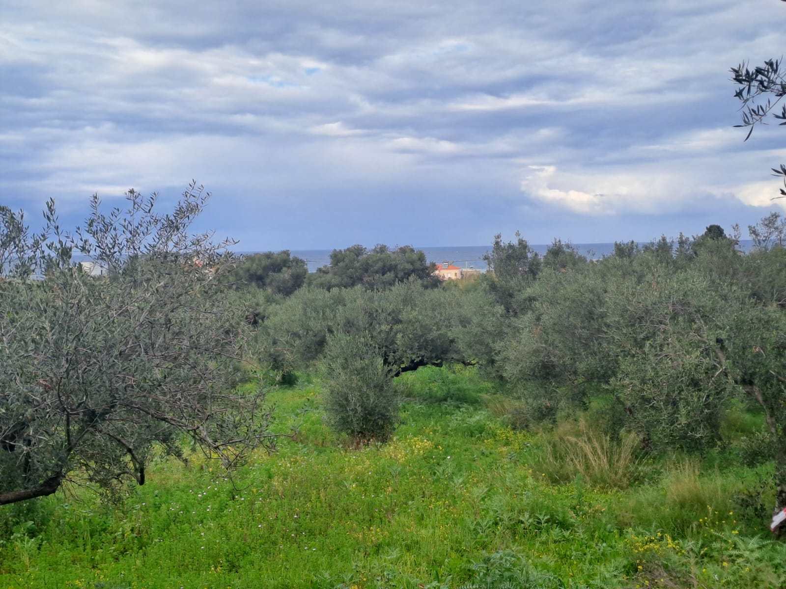 off plan stone villa in Chania Crete for sale with private pool and garden