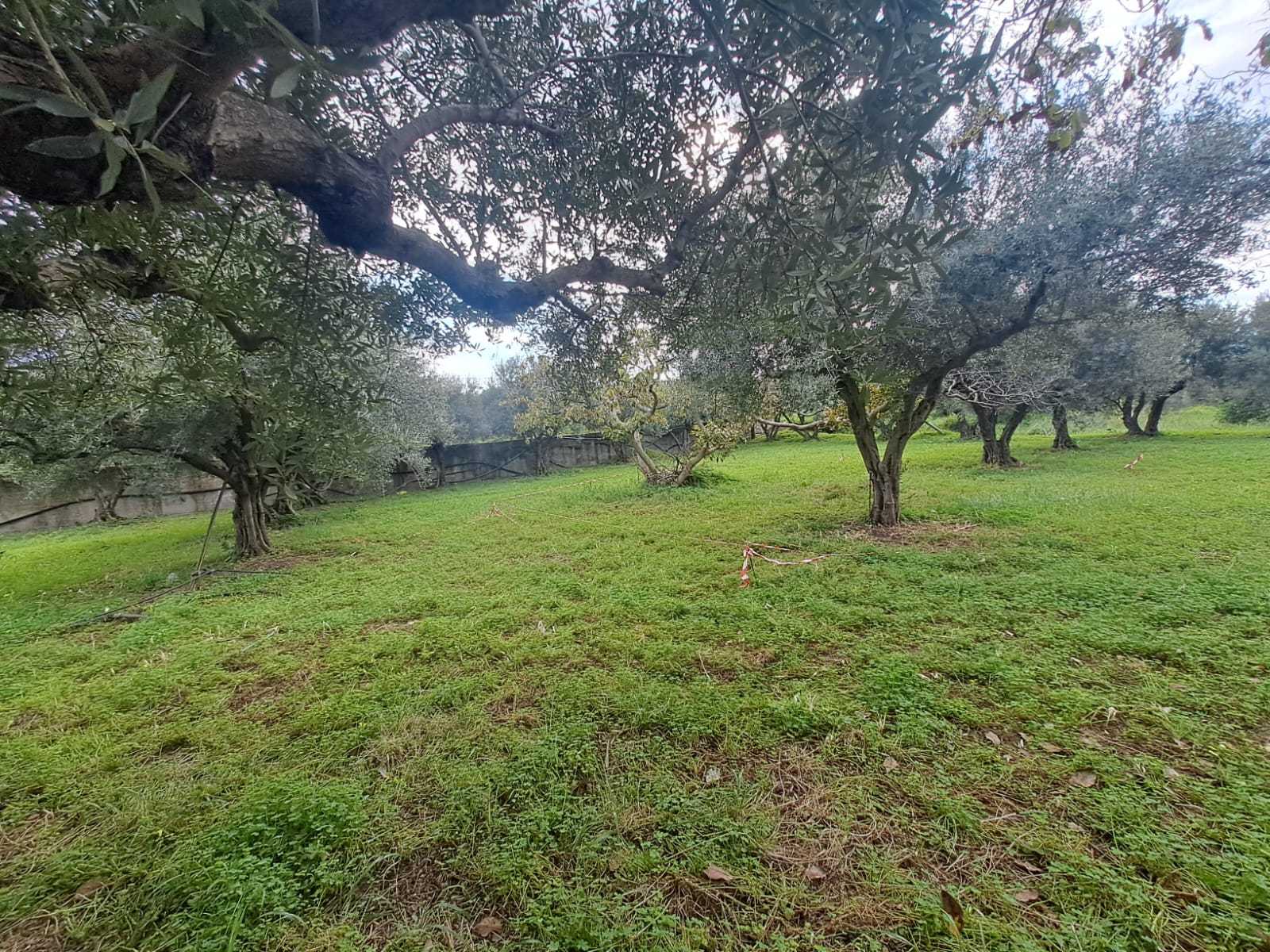 off plan stone villa in Chania Crete for sale with private pool and garden