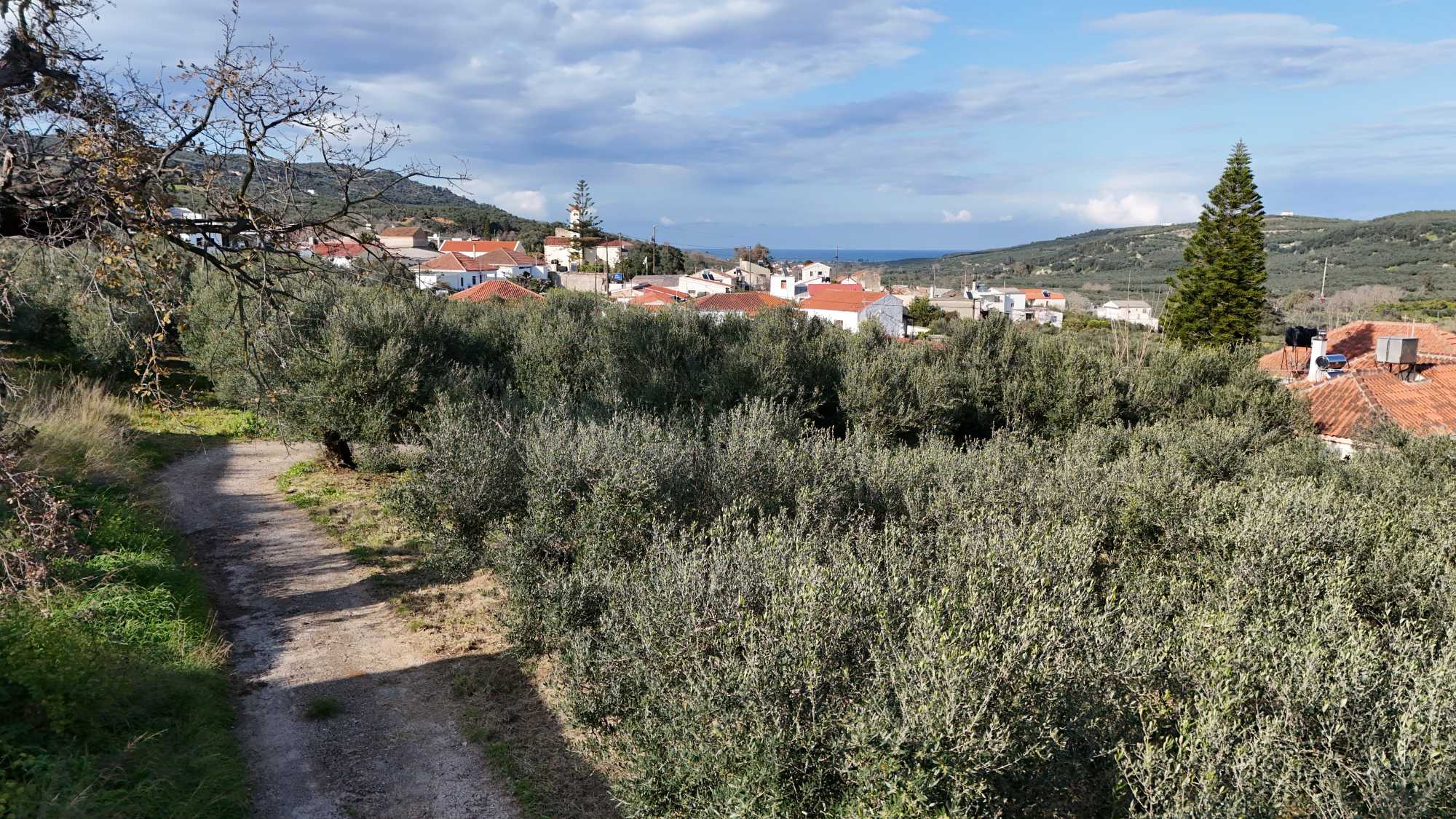 Plot in Chania Crete for sale