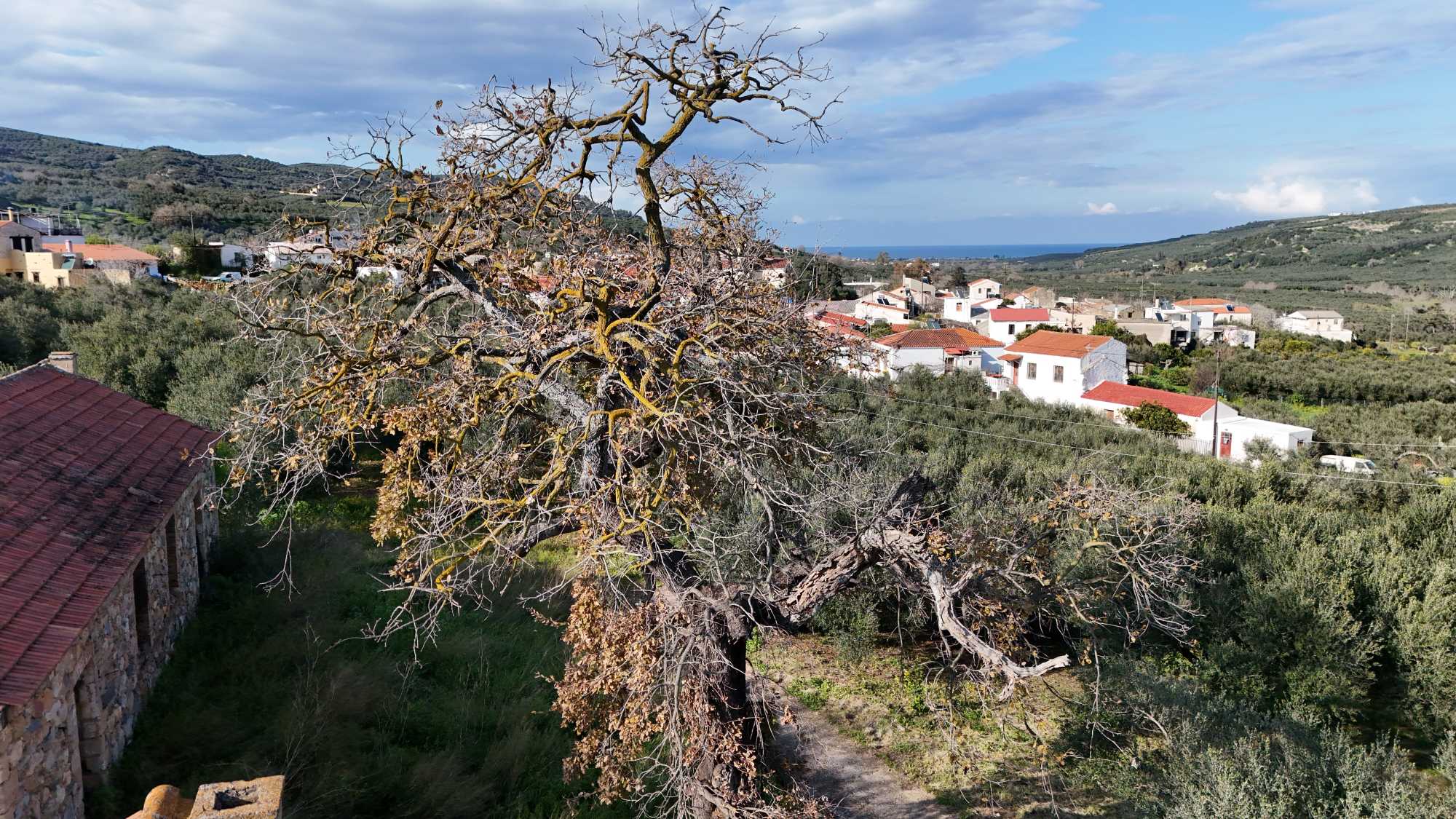 Plot in Chania Crete for sale