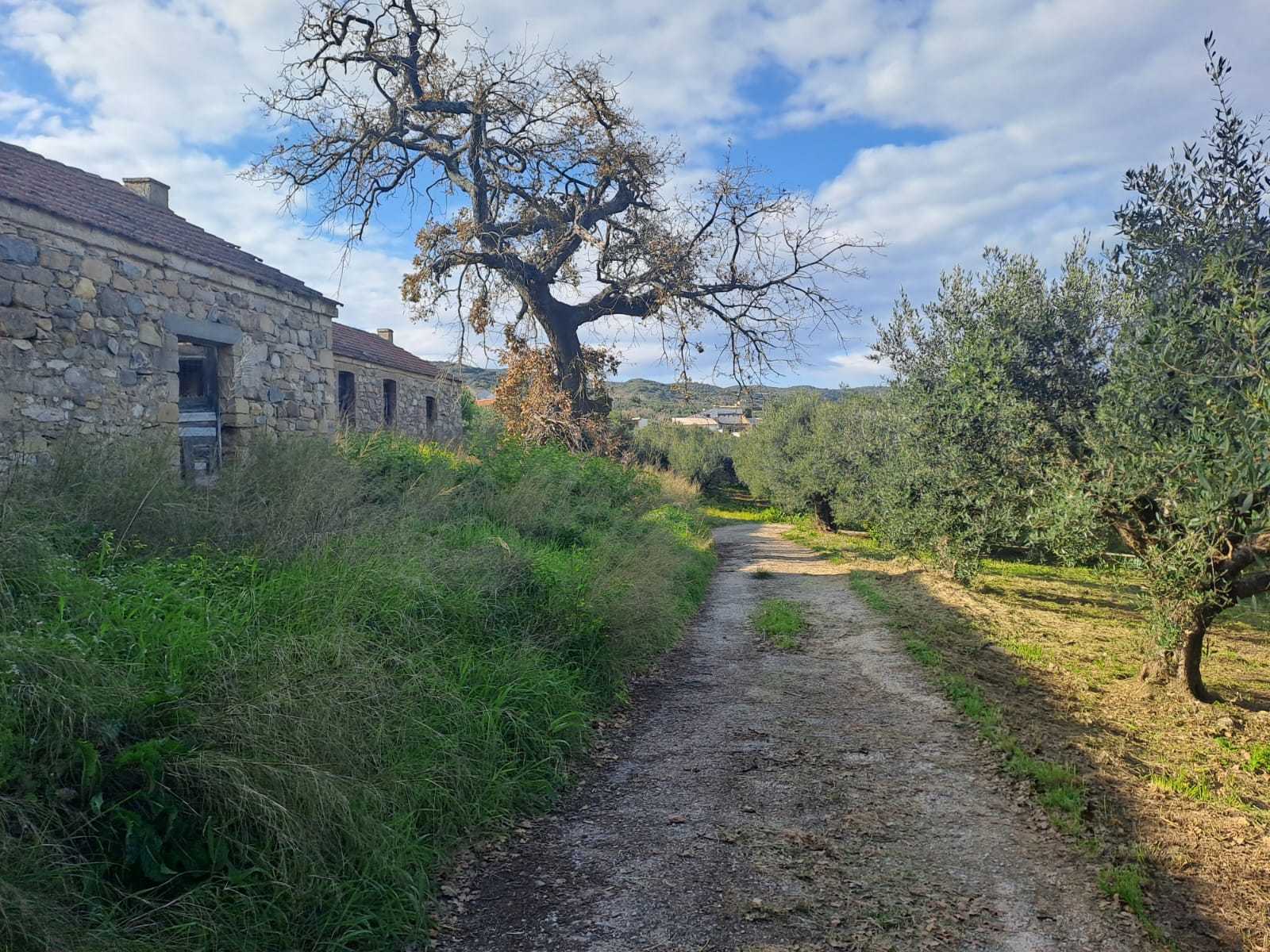 Plot in Chania Crete for sale