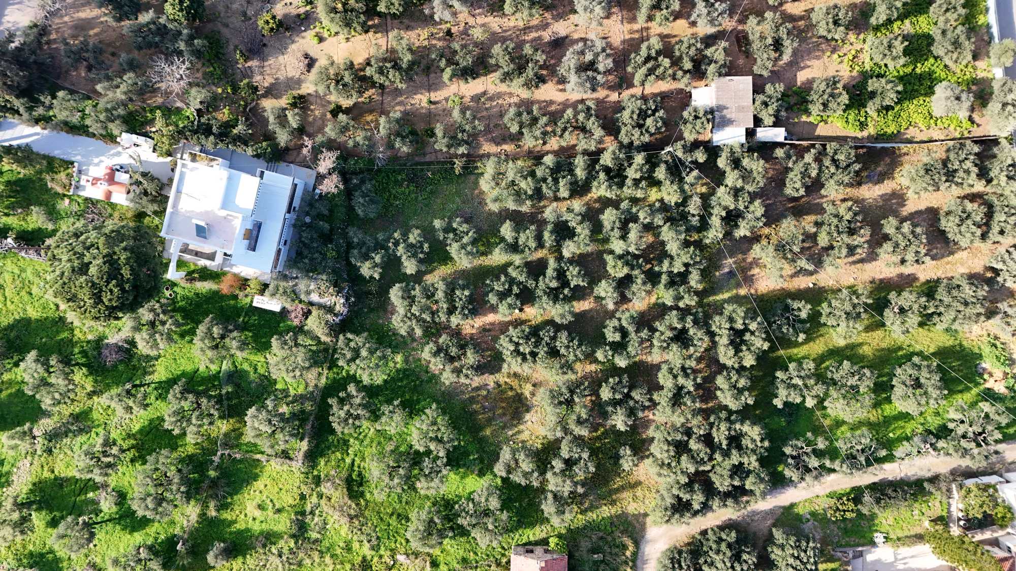 Plot in Chania Crete for sale
