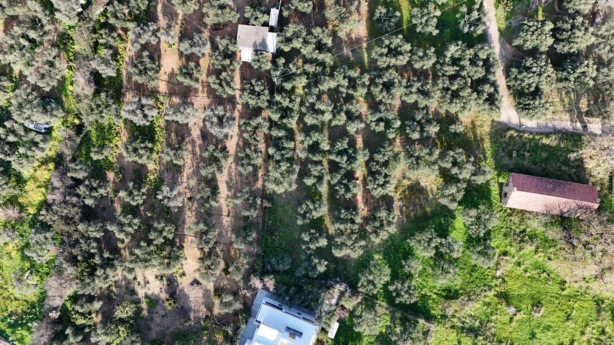 Plot in Chania Crete for sale