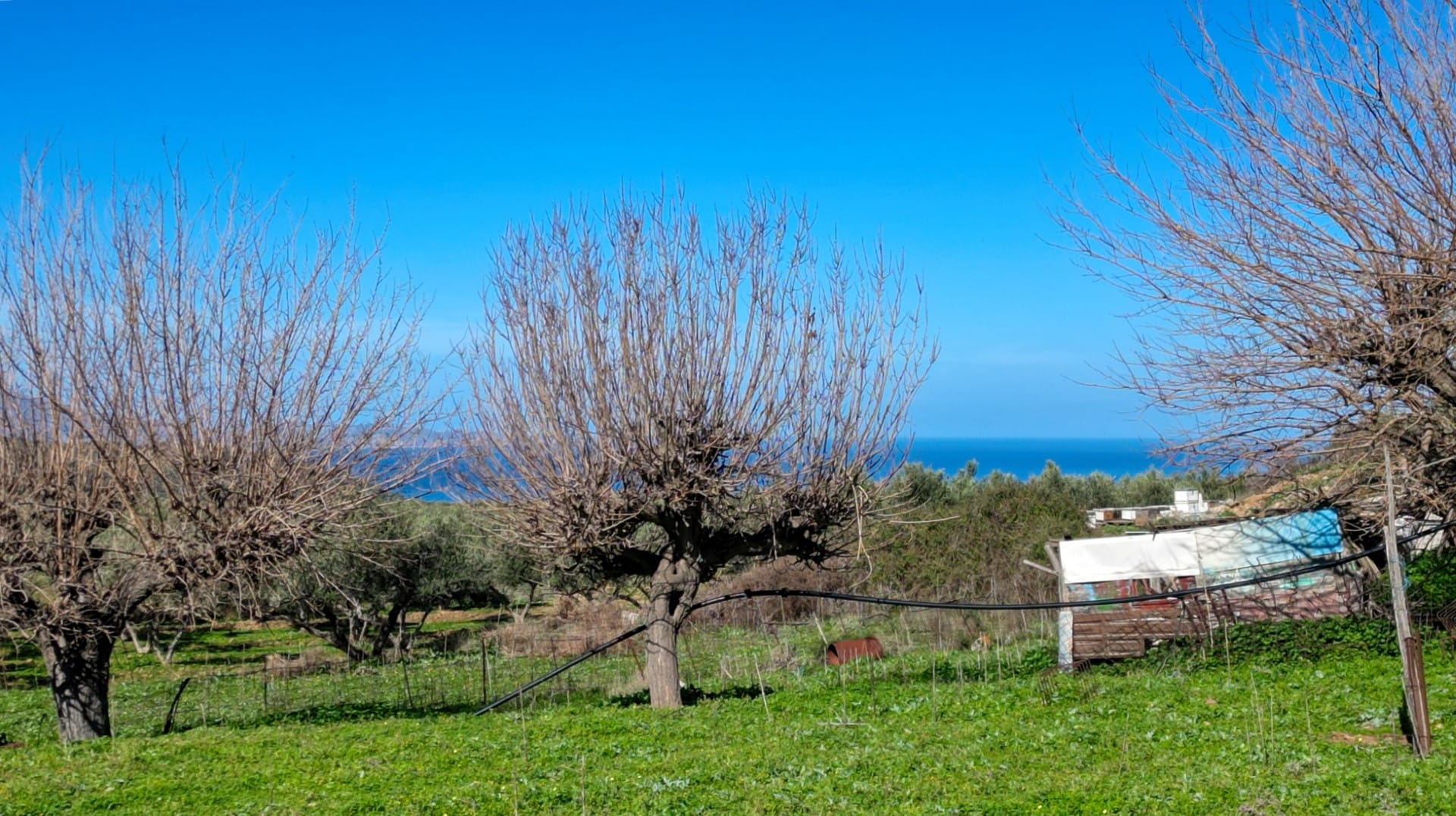 Renovation project with sea views for sale in Chania Crete