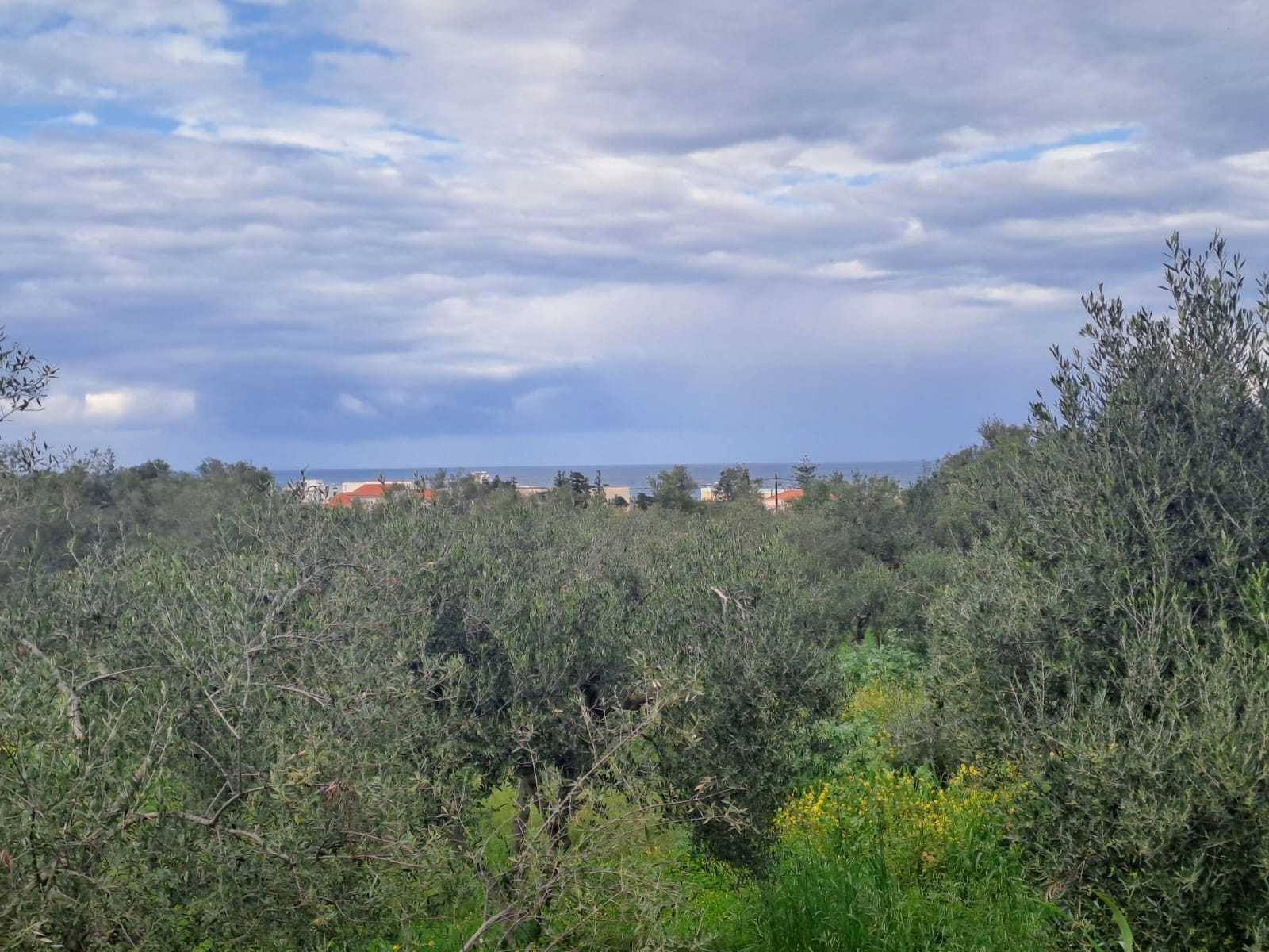 Stone house for sale in Chania Crete