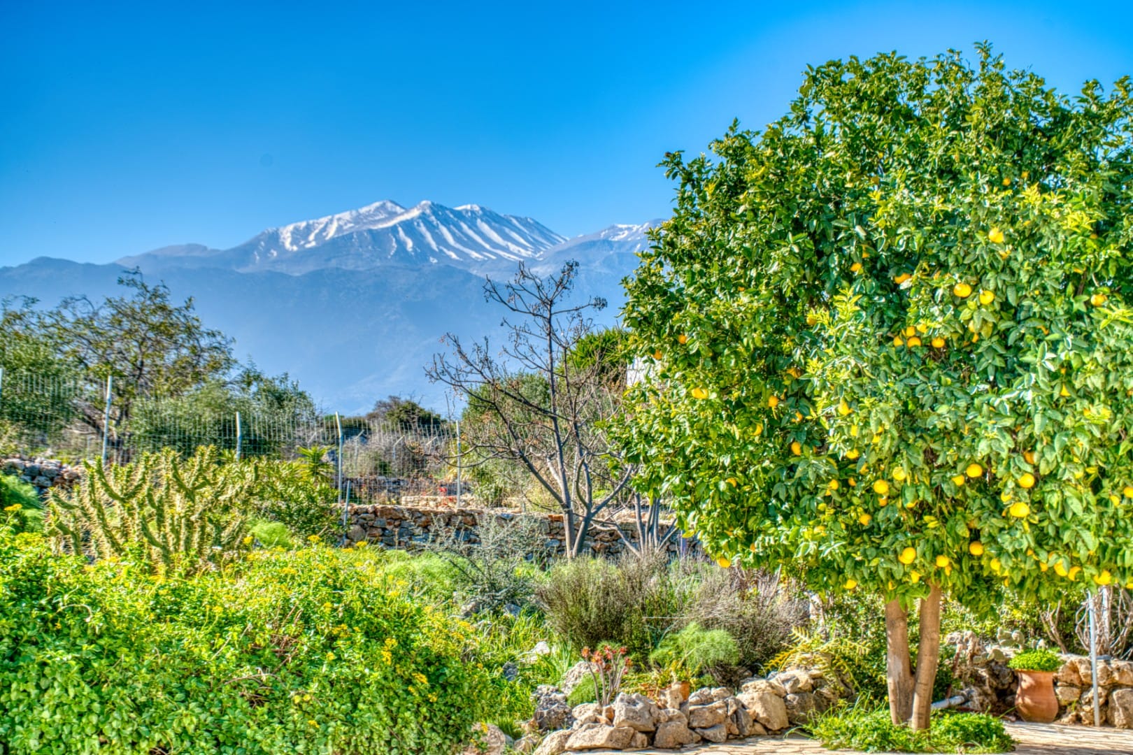 Villa in Apokoronas Chania Crete for sale