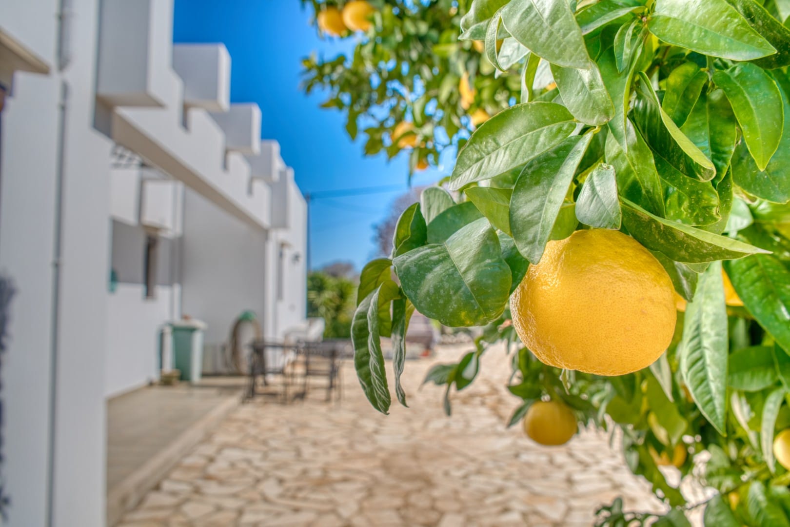 Villa in Apokoronas Chania Crete for sale