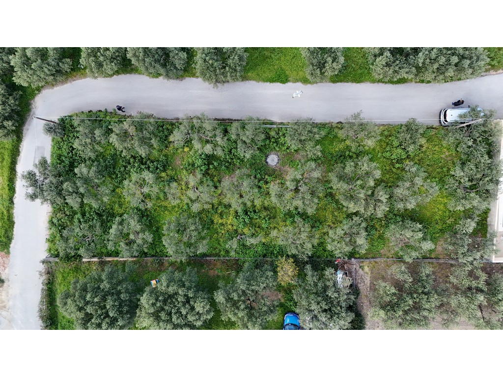 Plot for sale in Modi Chania Crete