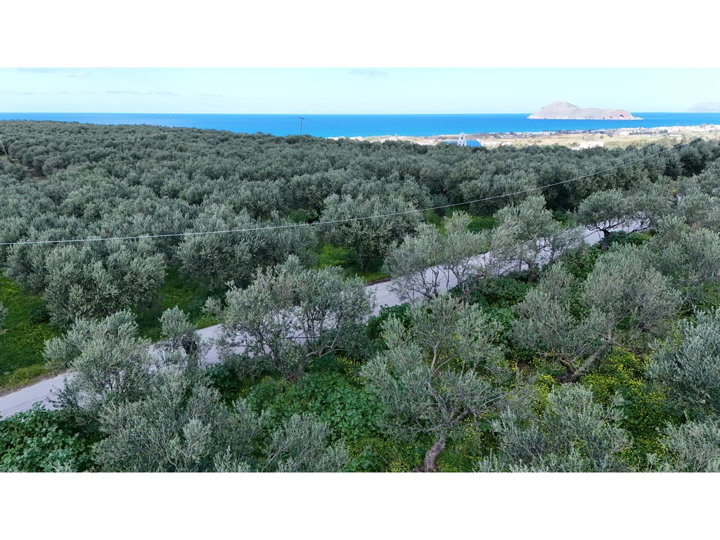 Plot for sale in Modi Chania Crete