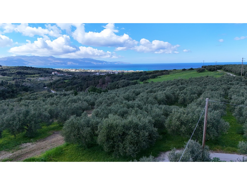 Plot for sale in Modi Chania Crete