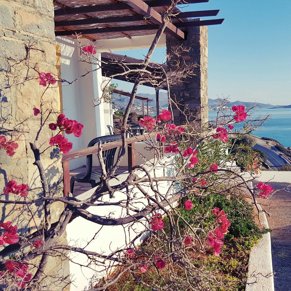 Hotel for sale in Agios Nikolaos Crete Hotel for sale in Agios Nikolaos Crete