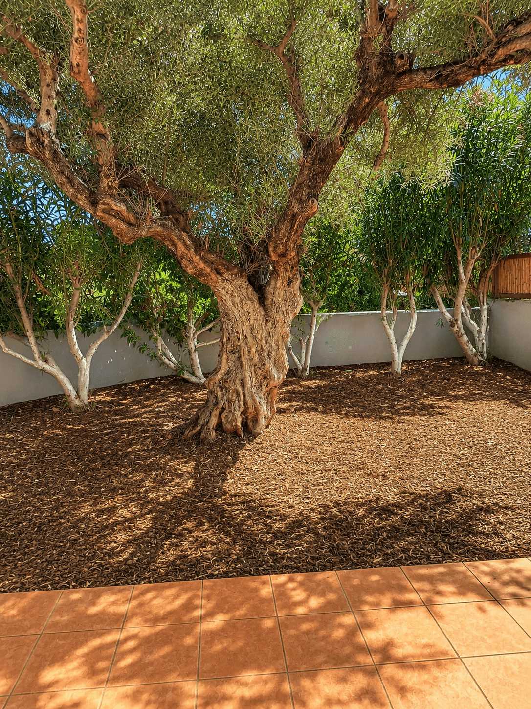 House in Tavronitis Chania Crete for sale