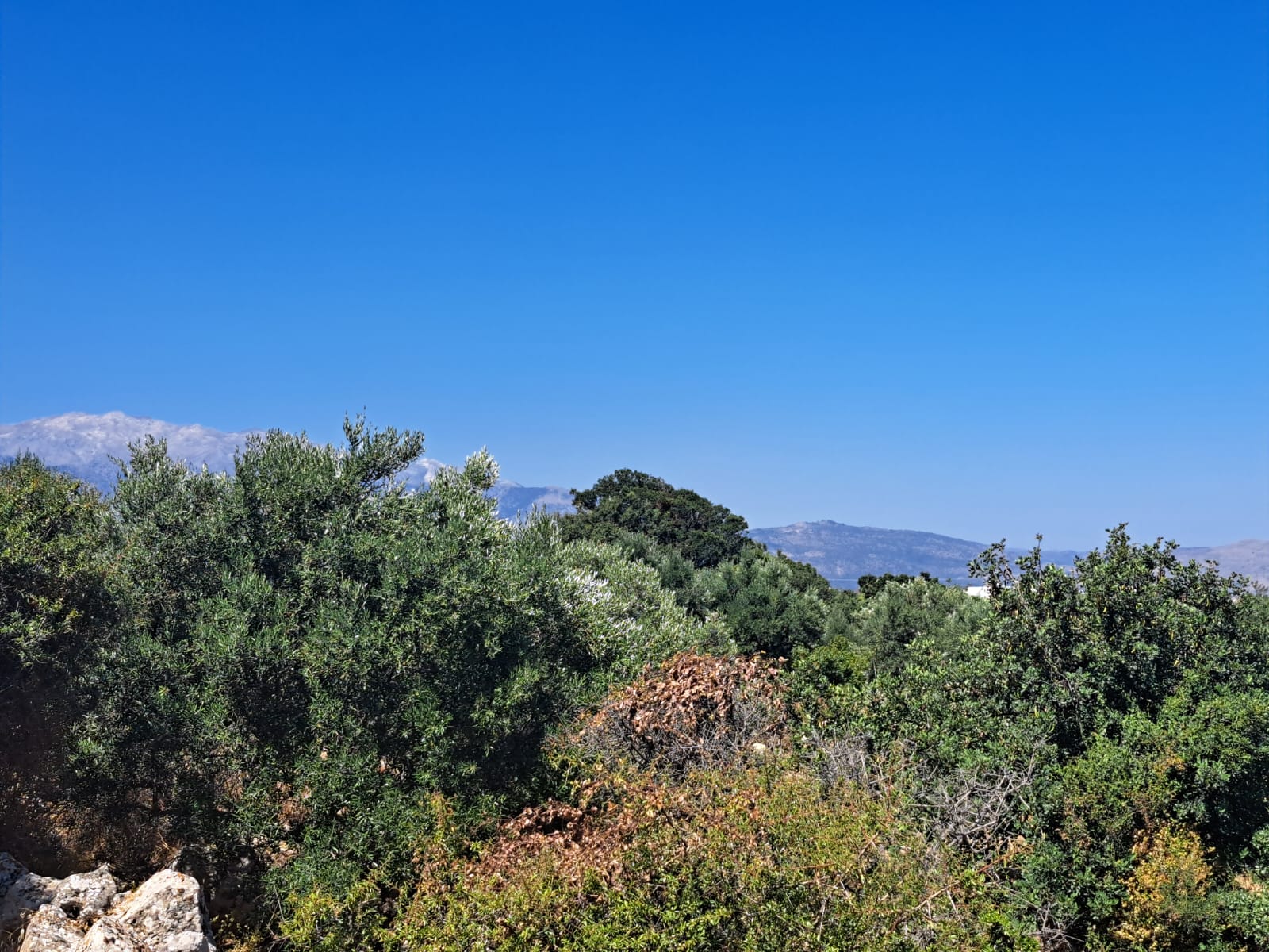 Plot-in-Kambia-Apokoronas-Chania-Crete-for-sale (4)