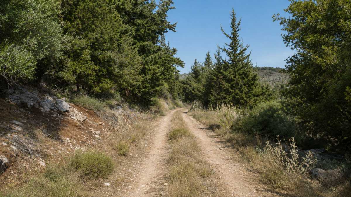 Plot of land in Chania Crete for sale Plot of land in Chania Crete for sale