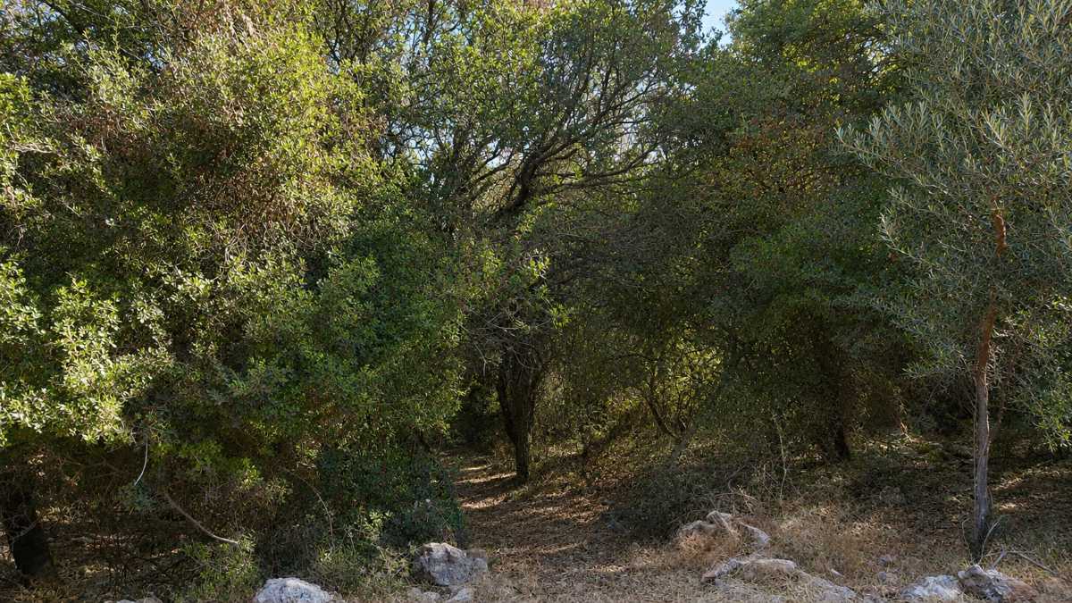 Plot of land in Chania Crete for sale Plot of land in Chania Crete for sale