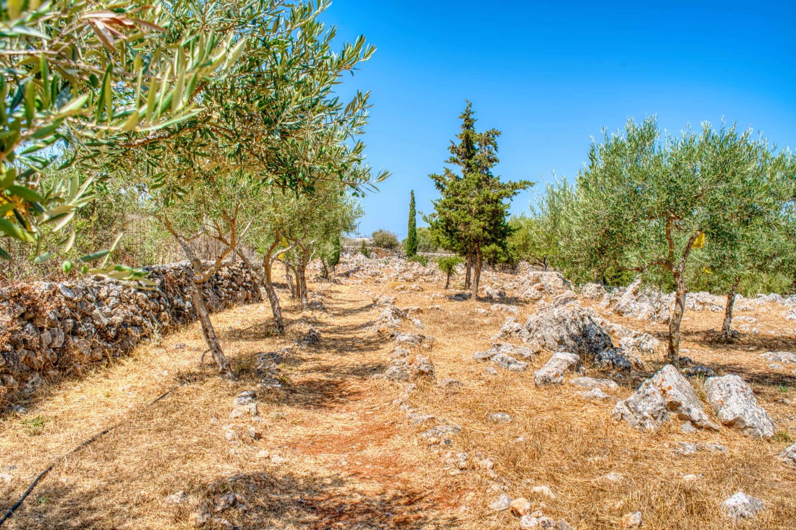 Villa in Apokoronas Chania Crete for sale