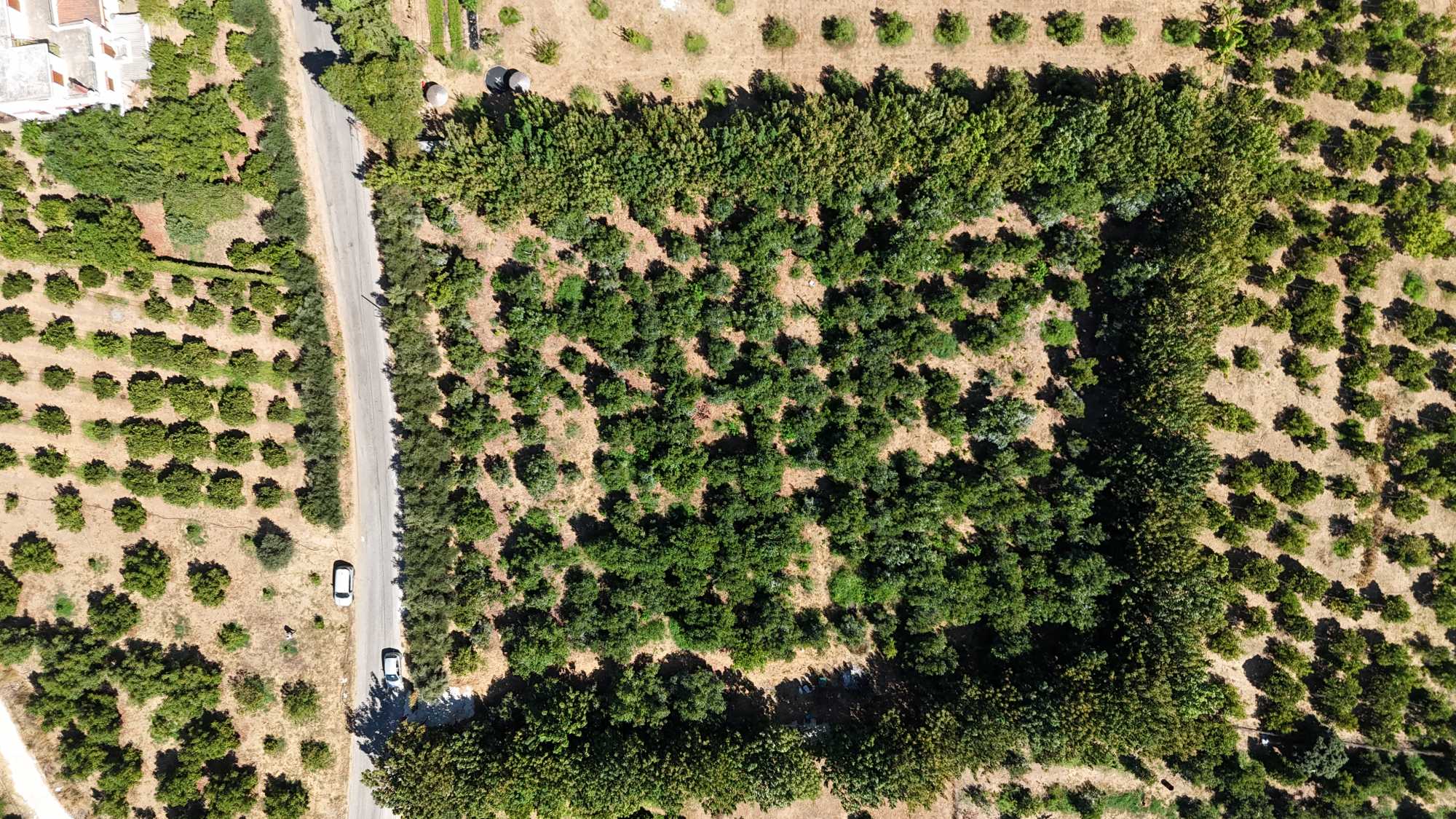 Plot of land in Chania Crete for sale