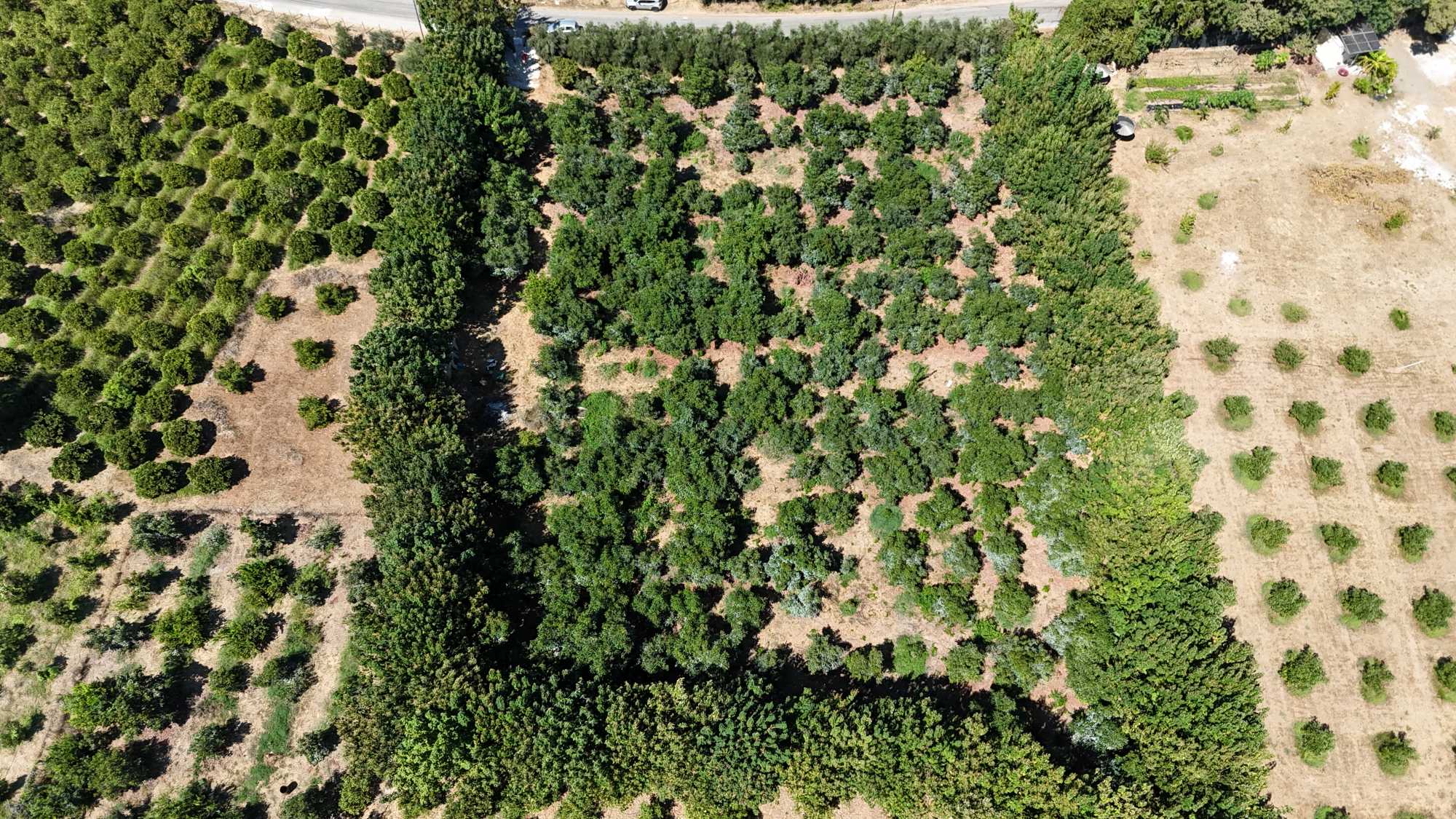 Plot of land in Chania Crete for sale