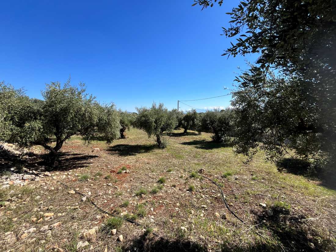 House for sale in Akrotiri Chania Crete